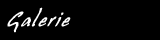 Bildergalerie